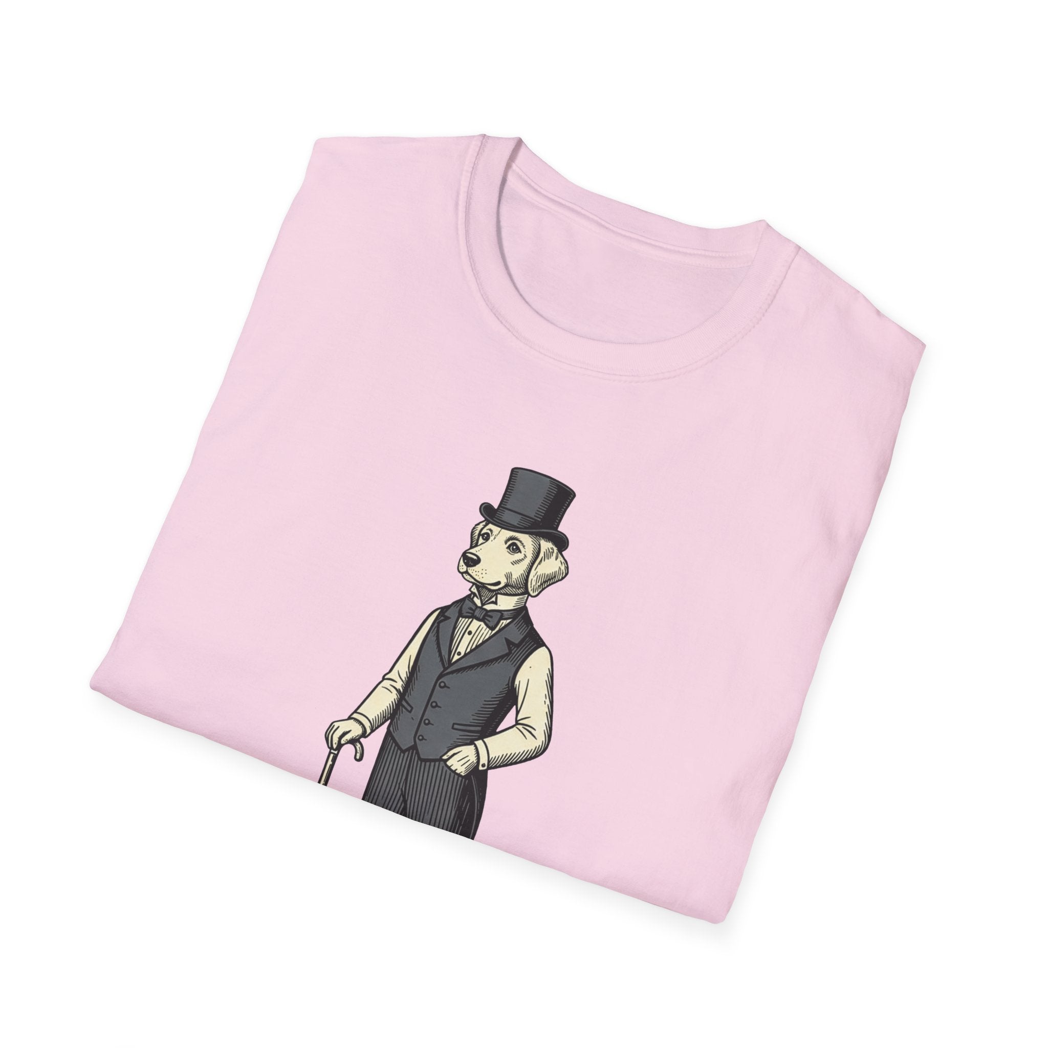 A Respectable Fellow Graphic Tee