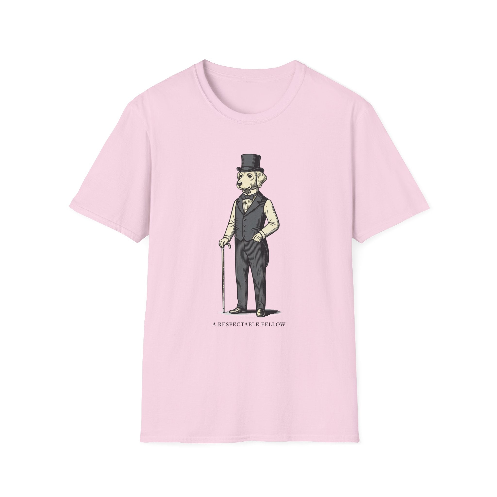 A Respectable Fellow Graphic Tee